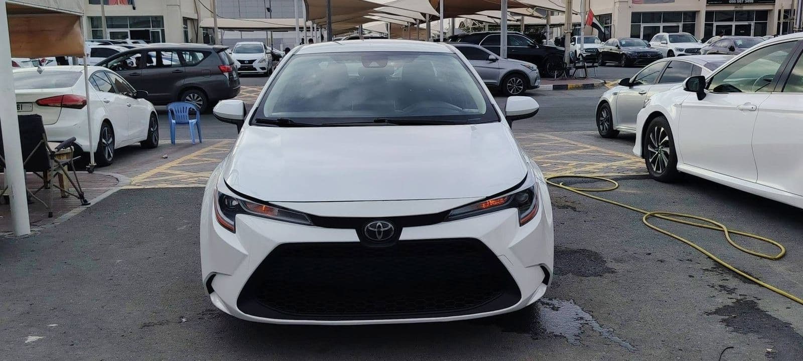 2020 Toyota Corolla thumbnail 6