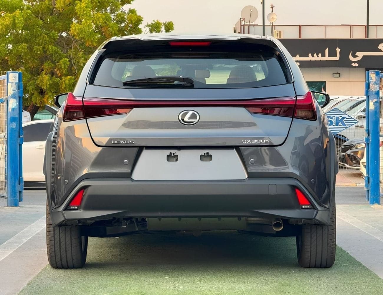 2025 Lexus UX300h PRIME 2.0L HYBRID thumbnail 4