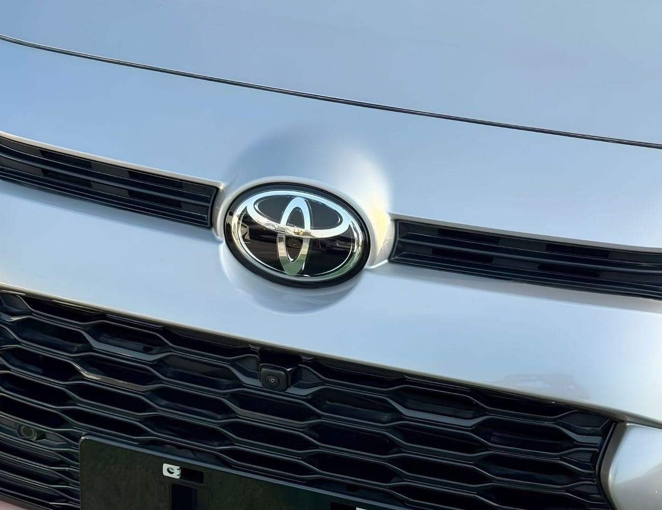 2025 Toyota Wildlander Luxury thumbnail 7