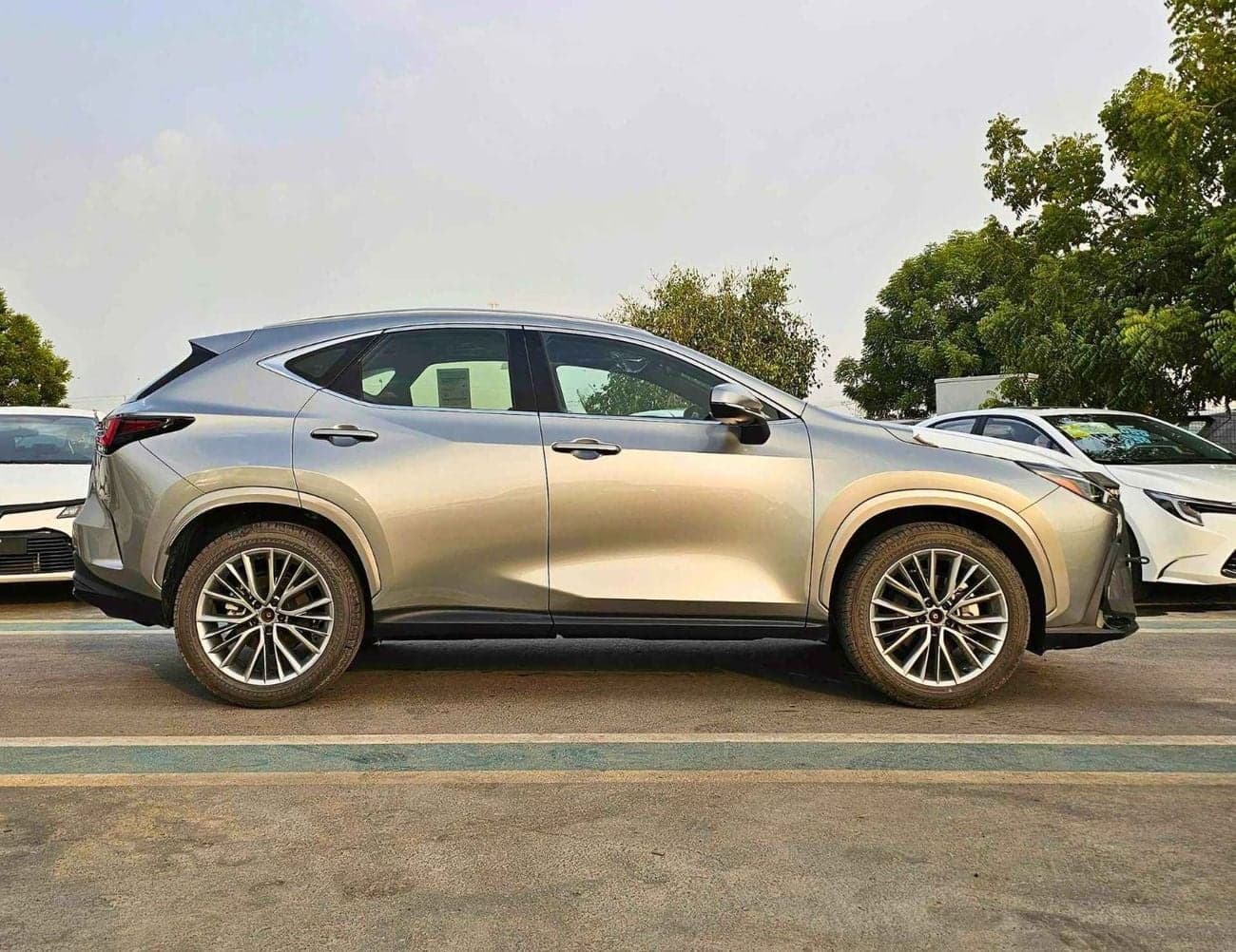 2025 Lexus NX350 PREMIER thumbnail 2