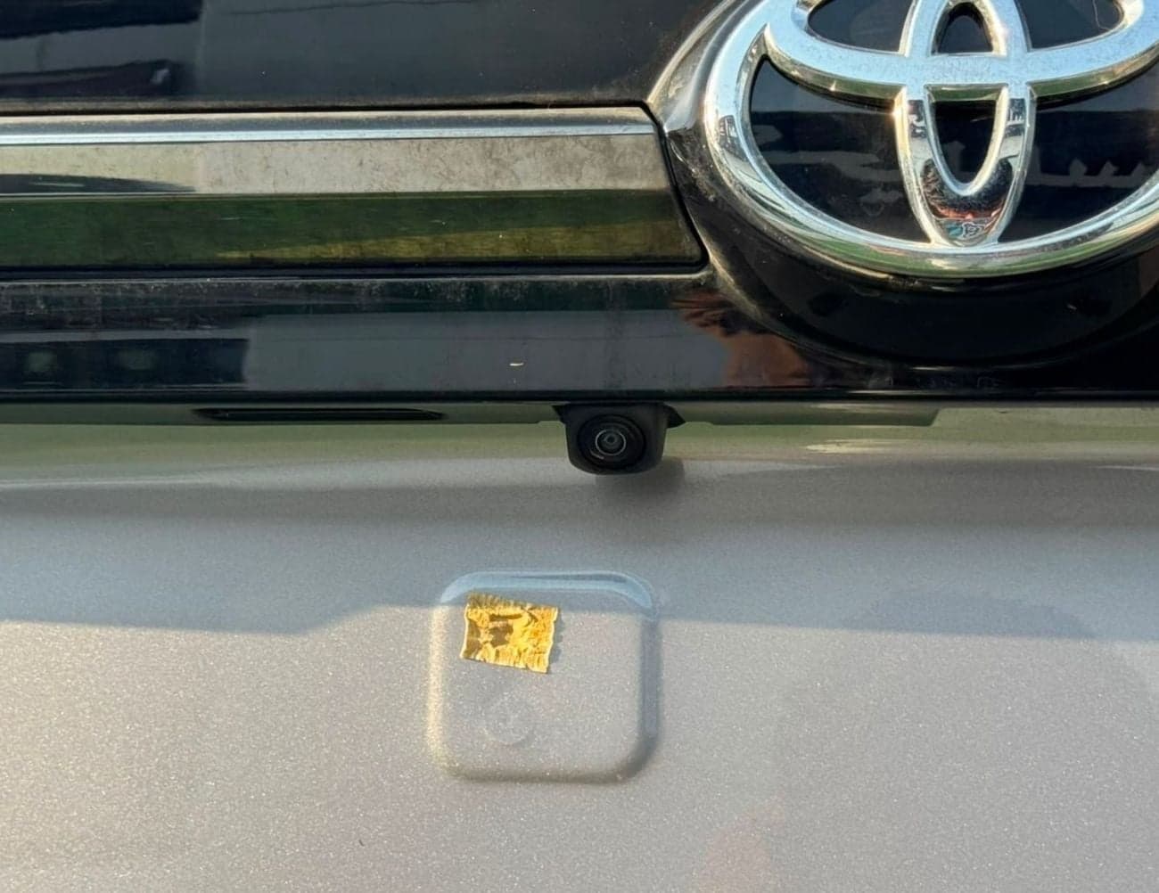 2025 Toyota Wildlander Luxury thumbnail 9
