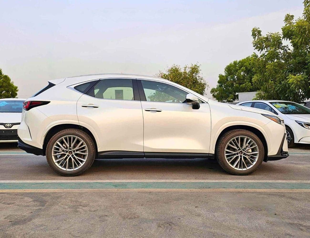 2026 Lexus NX350 ELIE thumbnail 2