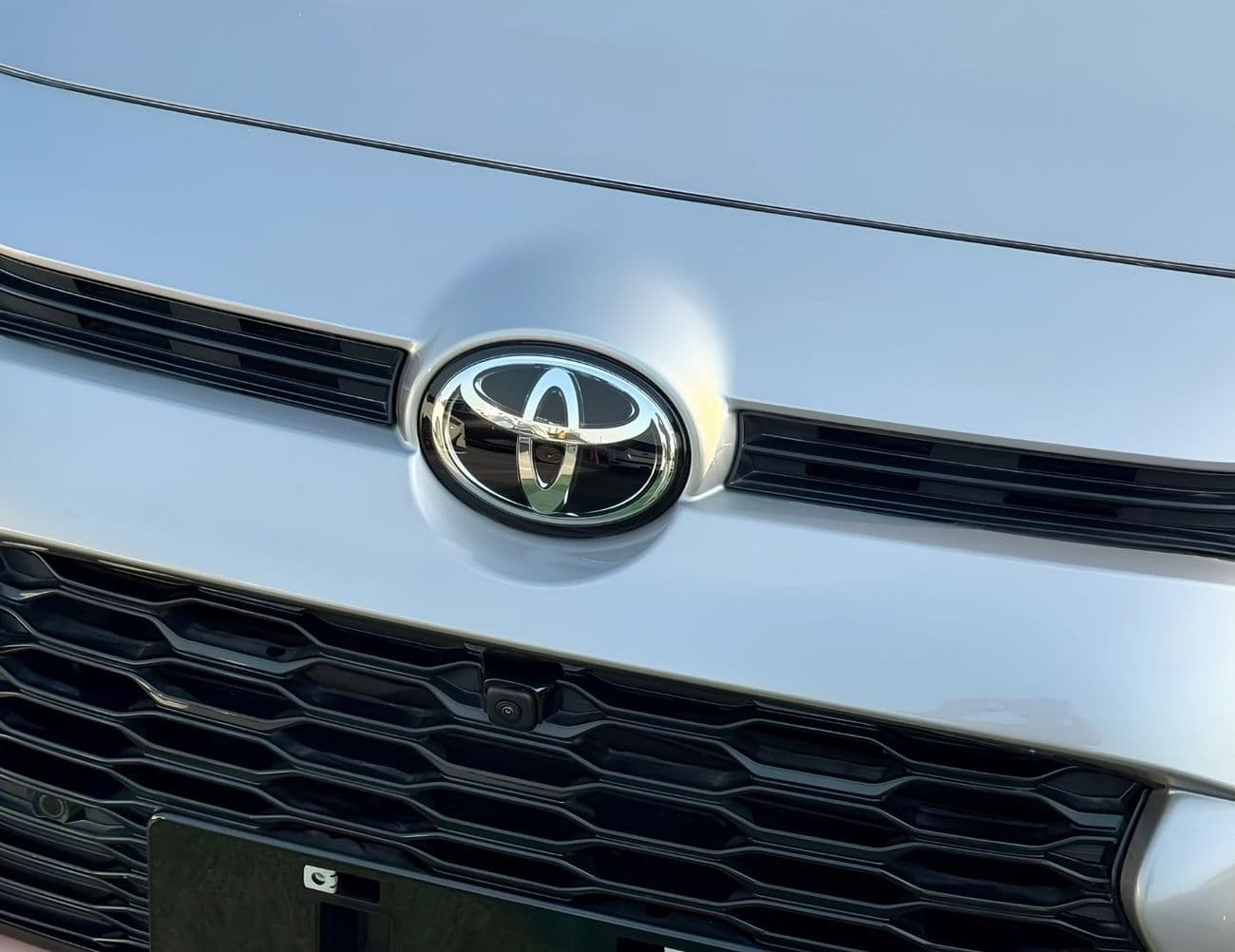 2025 Toyota Wildlander Luxury thumbnail 7