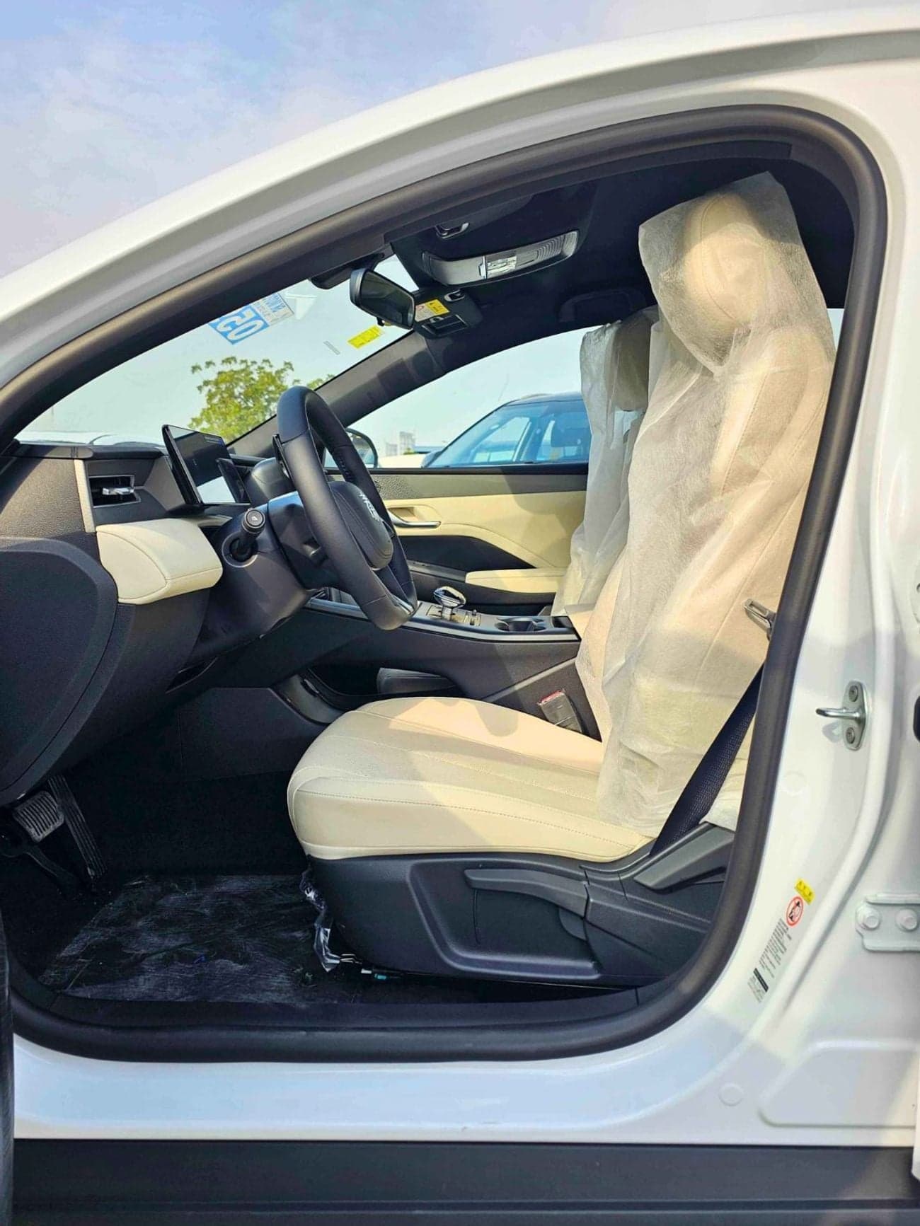2025 BYD QIN PLUS STANDARD thumbnail 8