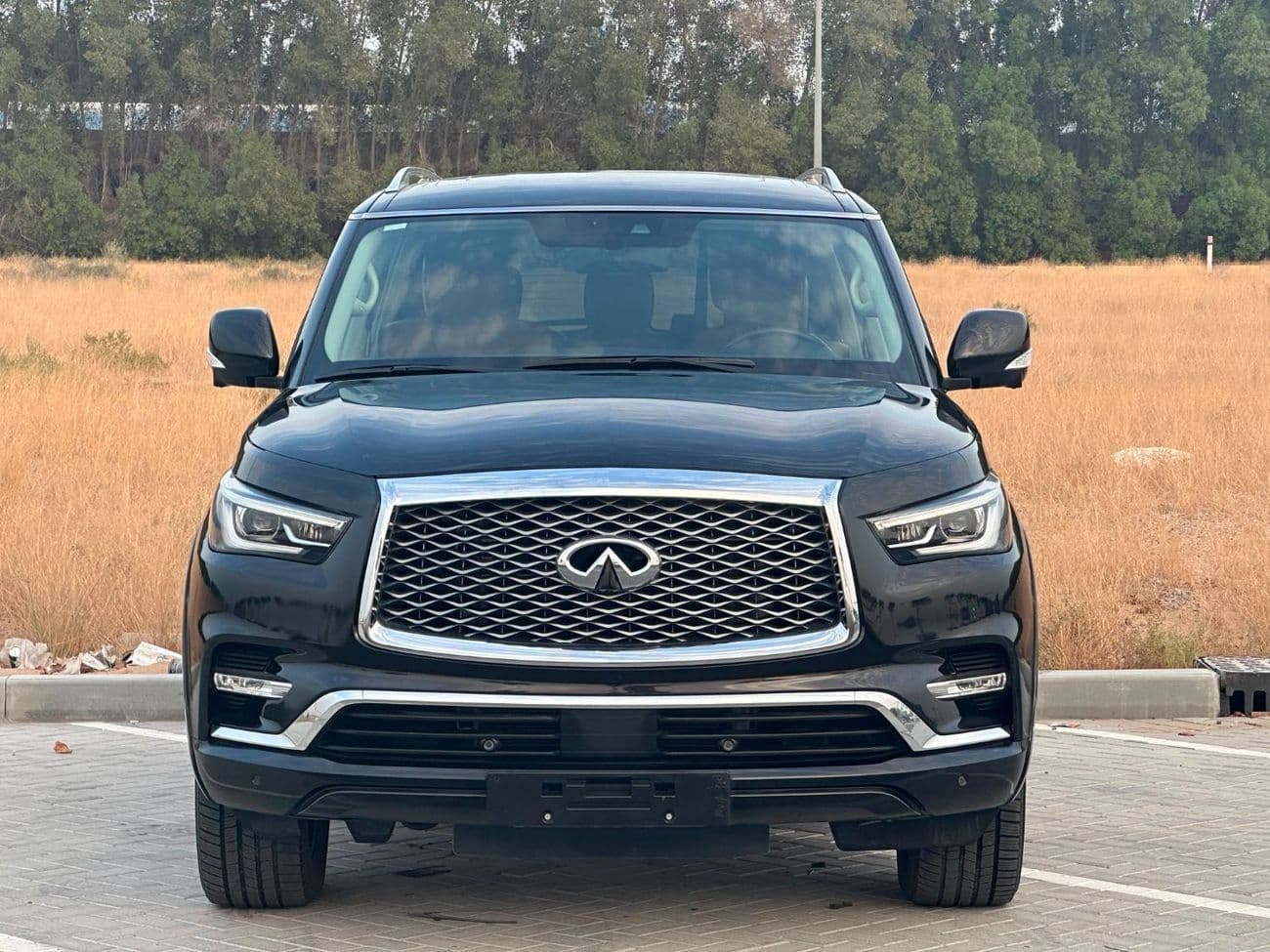 2020 Infiniti QX80 LUXE SENSORY PROACTIVE thumbnail 3