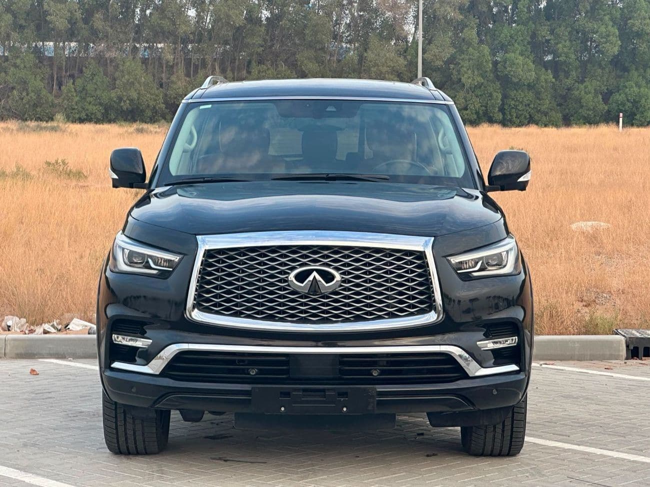 2020 Infiniti QX80 LUXE SENSORY PROACTIVE