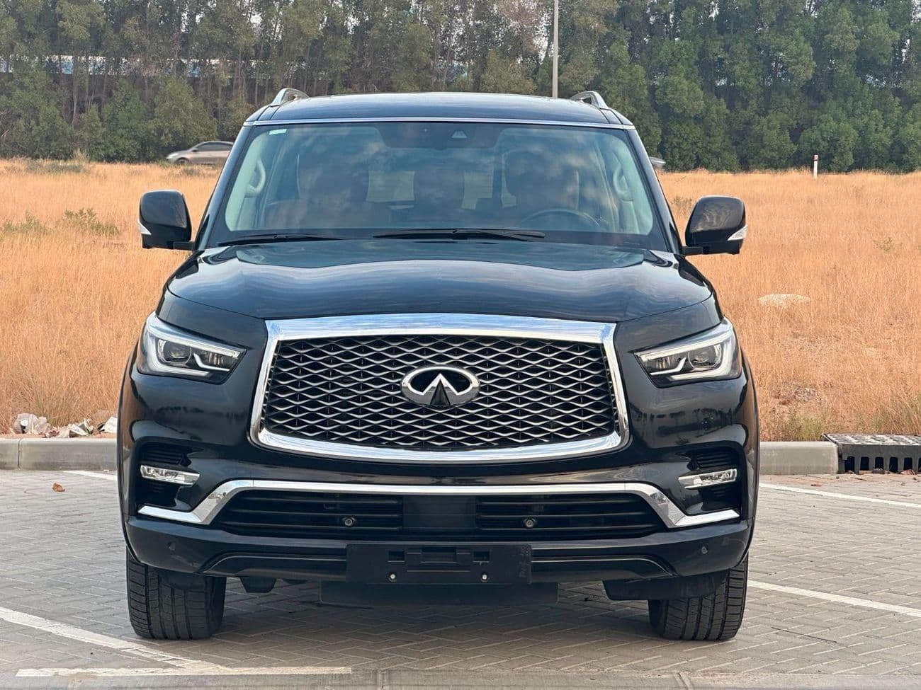 2020 Infiniti QX80 LUXE SENSORY PROACTIVE thumbnail 2