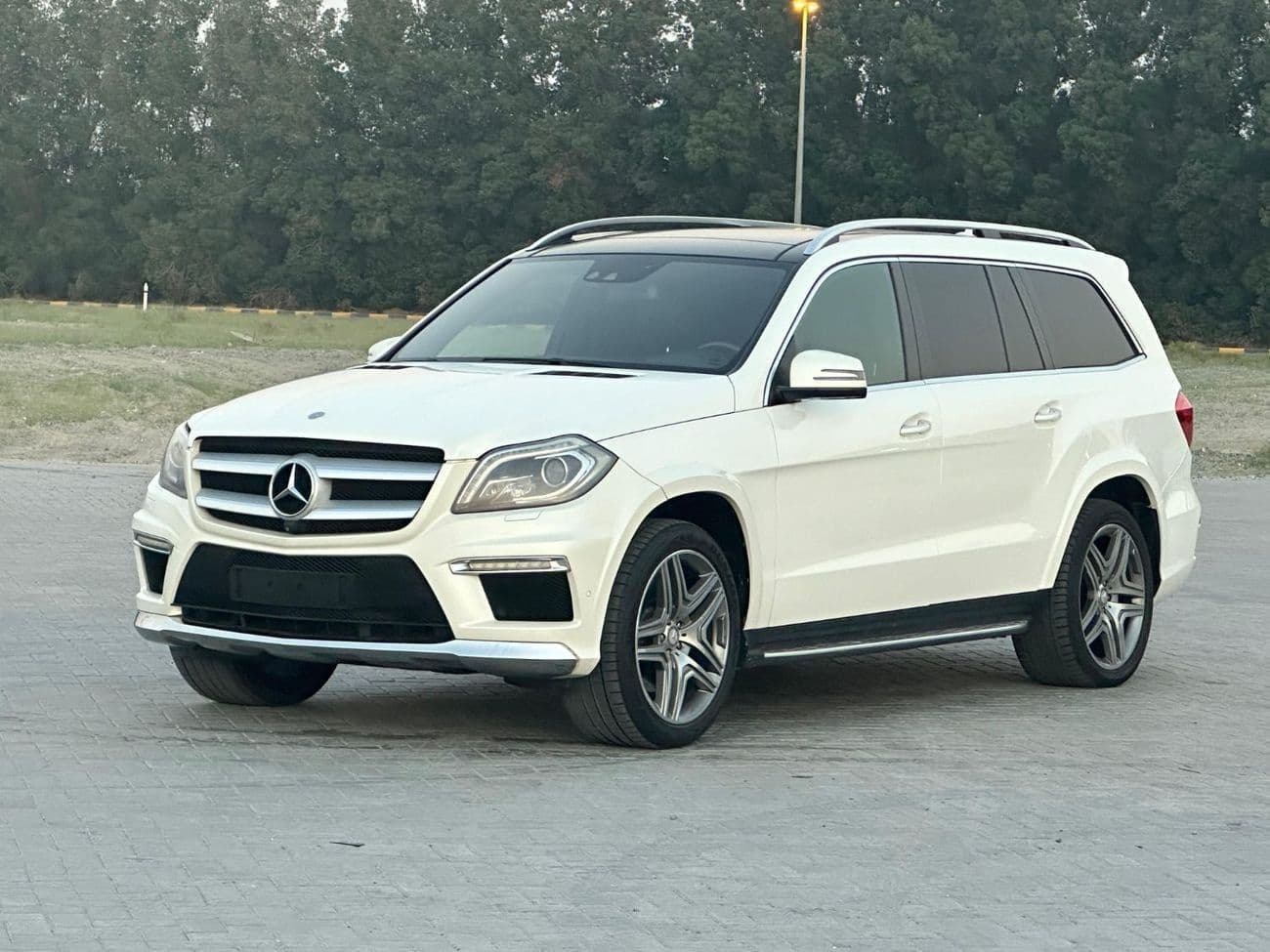 2014 Mercedes Benz GL500 STANDARD thumbnail 2