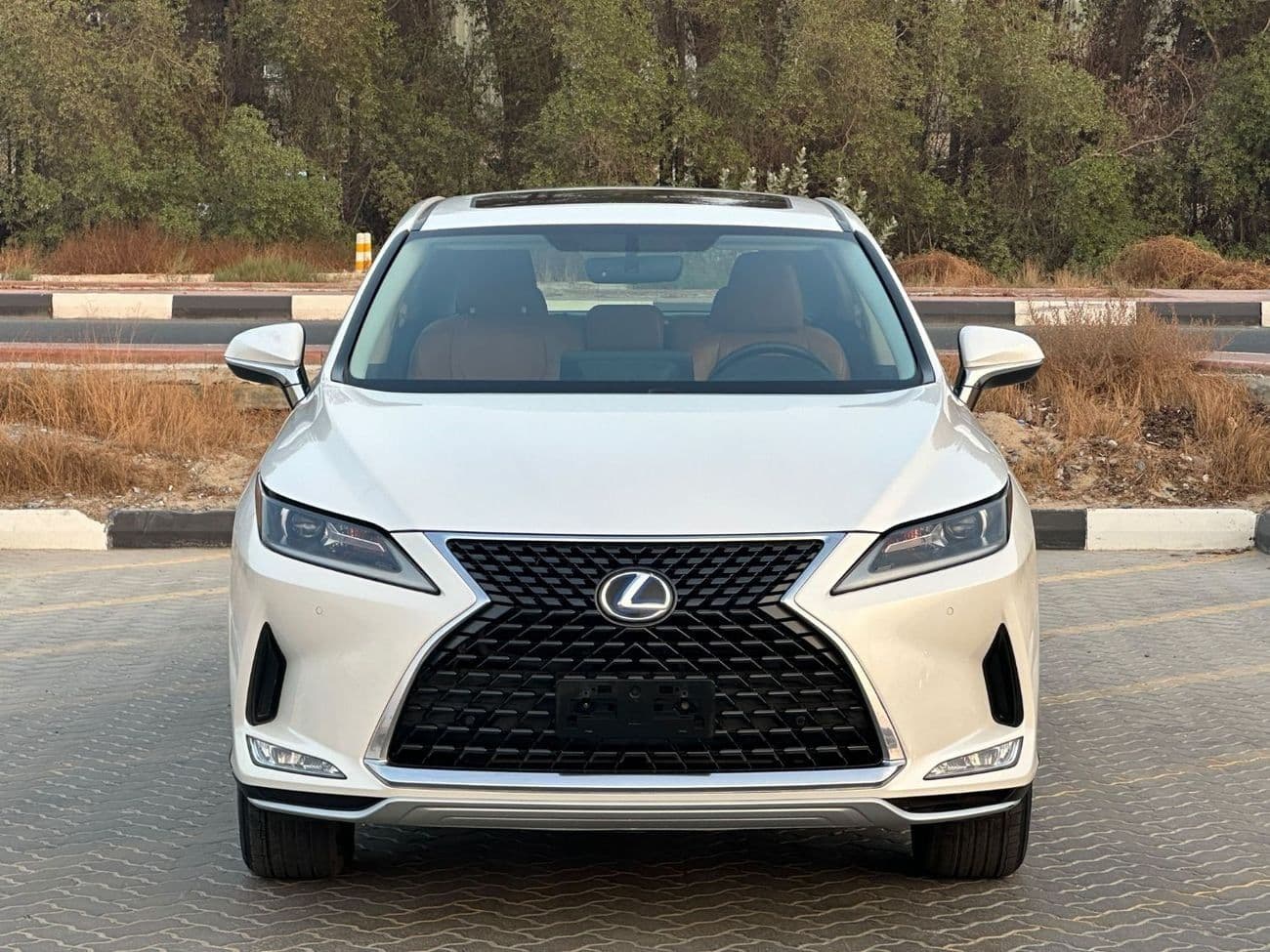 2020 Lexus RX450h PREMIER thumbnail 2