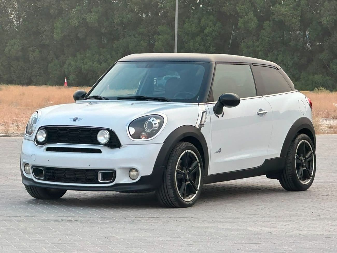 2013 Mini Cooper S PACEMAN