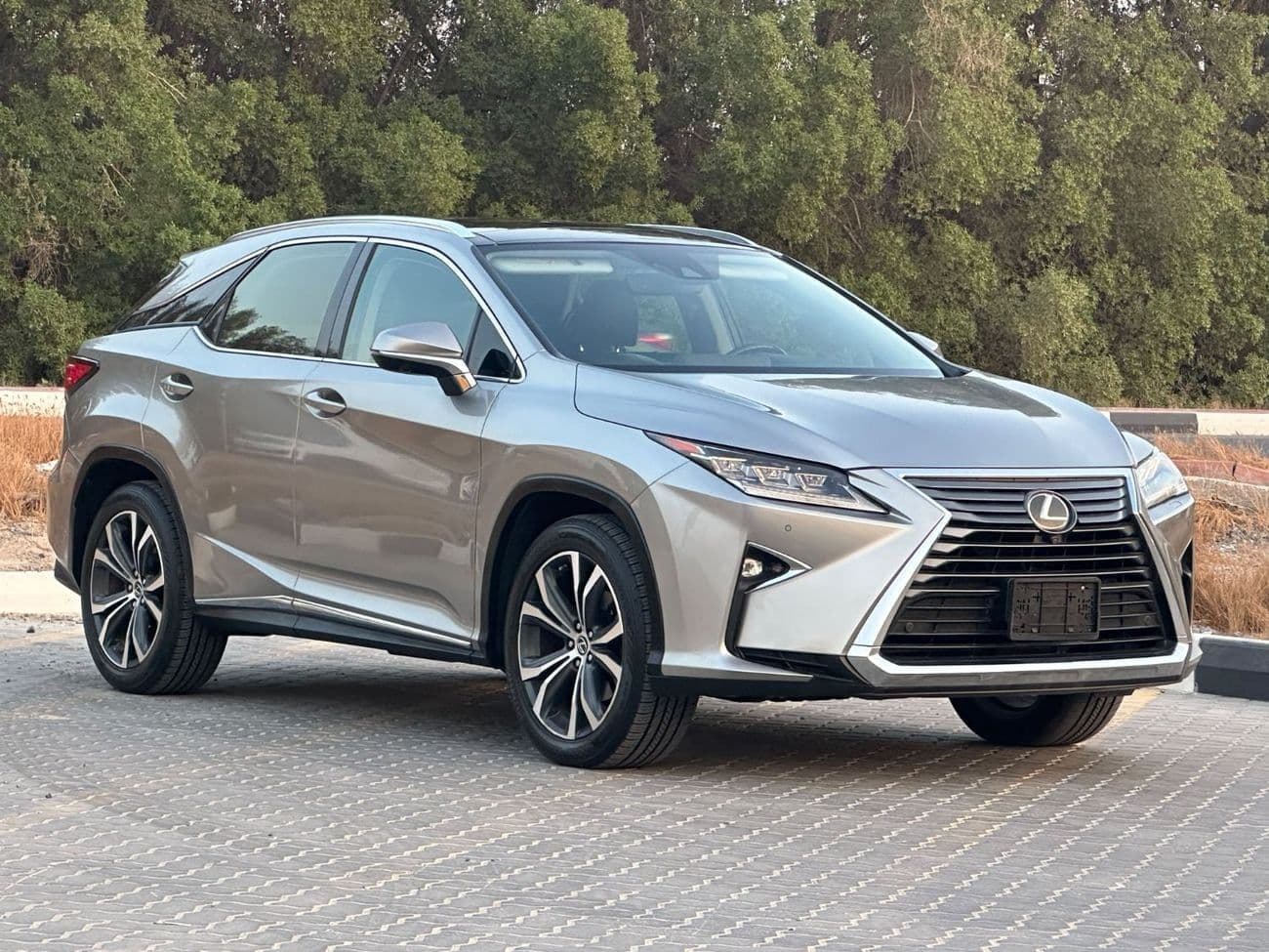 2018 Lexus RX350 PLATINUM