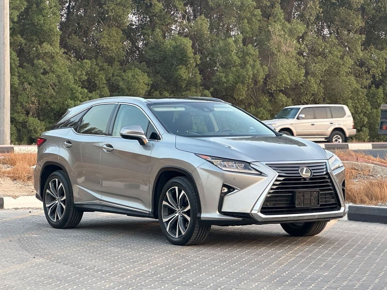 2018 Lexus RX350 PLATINUM thumbnail 2