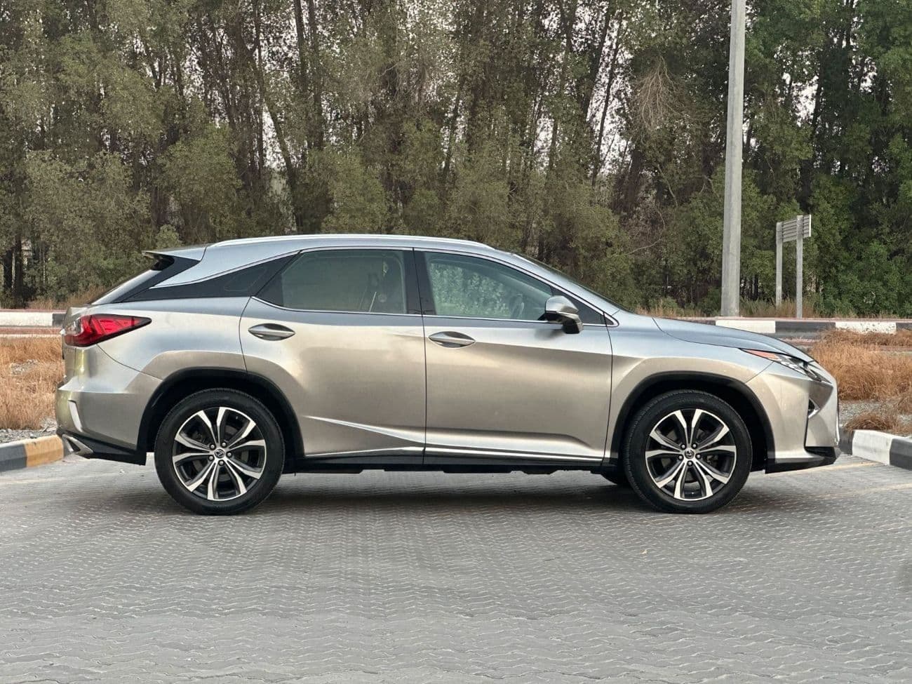 2018 Lexus RX350 PLATINUM thumbnail 5