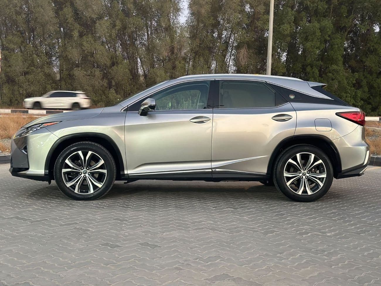 2018 Lexus RX350 PLATINUM thumbnail 6