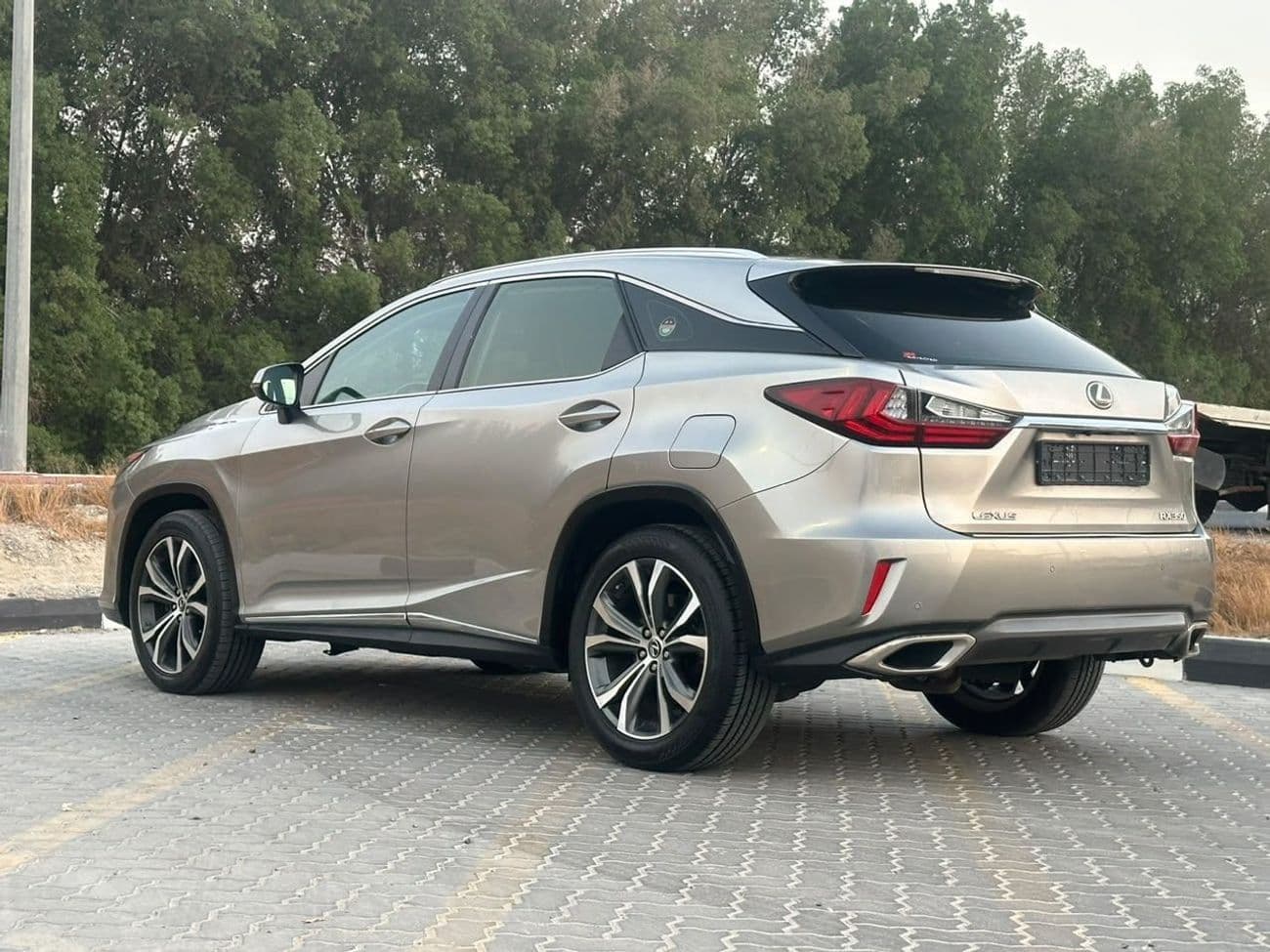 2018 Lexus RX350 PLATINUM thumbnail 7