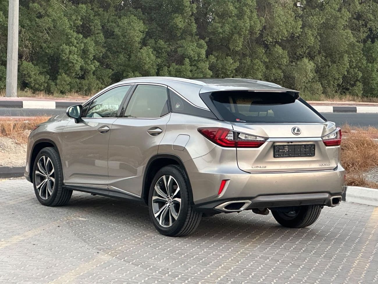 2018 Lexus RX350 PLATINUM thumbnail 8