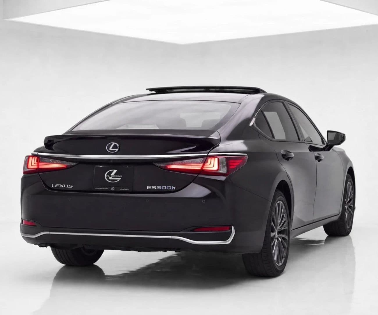 2020 Lexus ES300h PREMIER thumbnail 2