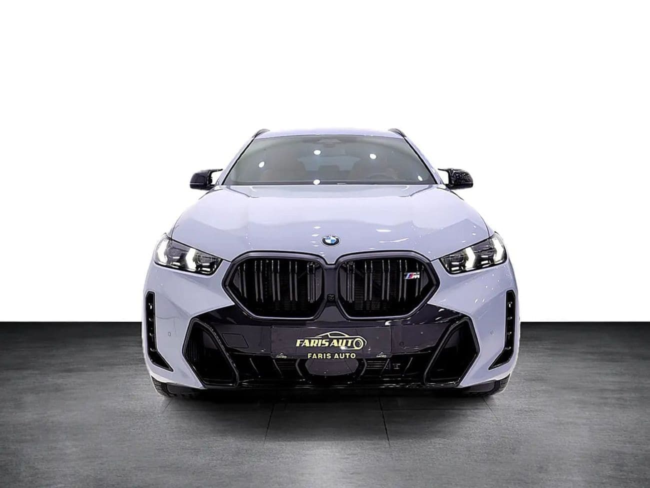 2026 BMW X6 thumbnail 2