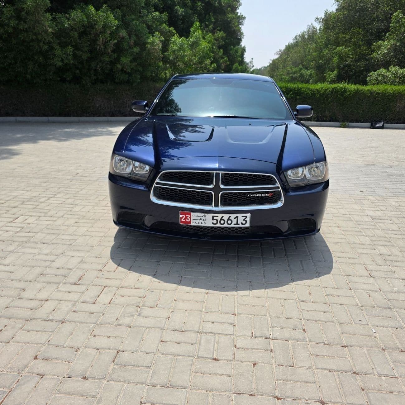 2014 Dodge Charger SE