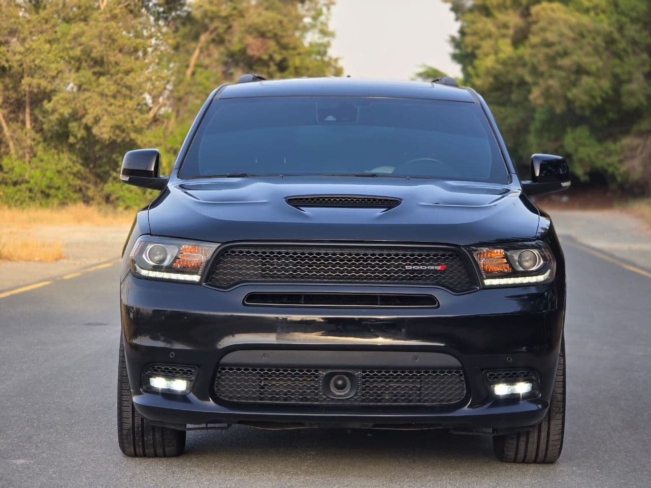2019 Dodge Durango R/T thumbnail 2