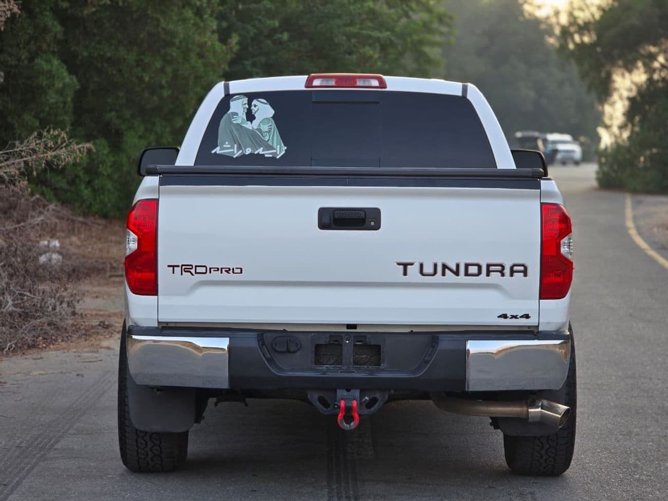 2017 Toyota Tundra STANDARD thumbnail 6