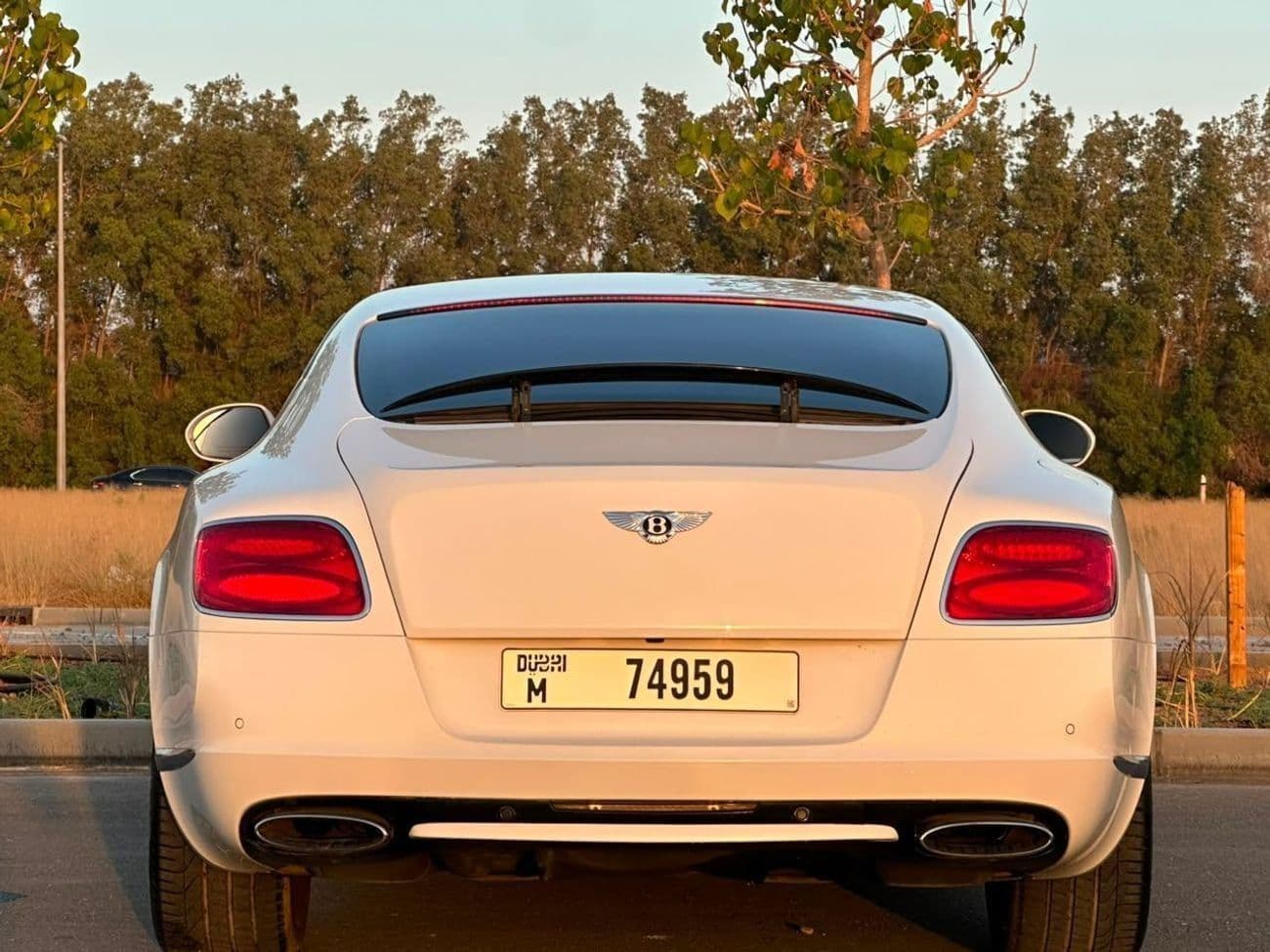 2014 Bentley Continental GT SPEED thumbnail 4