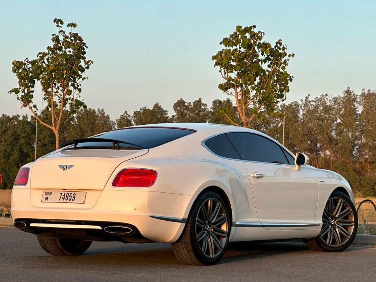 2014 Bentley Continental GT SPEED thumbnail 5