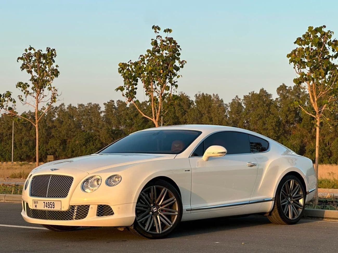 2014 Bentley Continental GT SPEED thumbnail 2