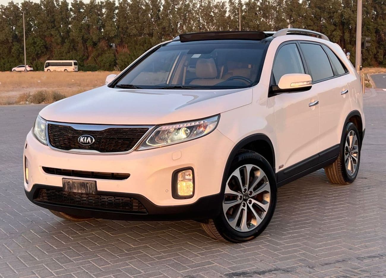 2014 Kia Sorento EX TOP thumbnail 6