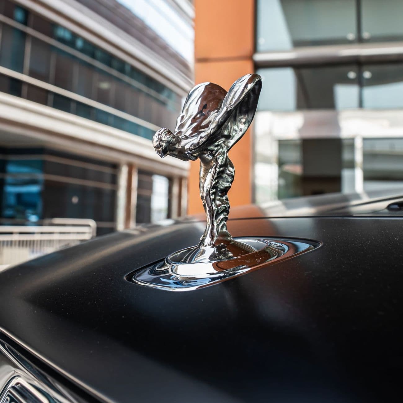 2017 Rolls Royce Dawn thumbnail 8