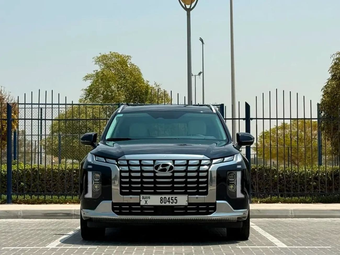 2023 Hyundai Palisade CALLIGRAPHY thumbnail 6