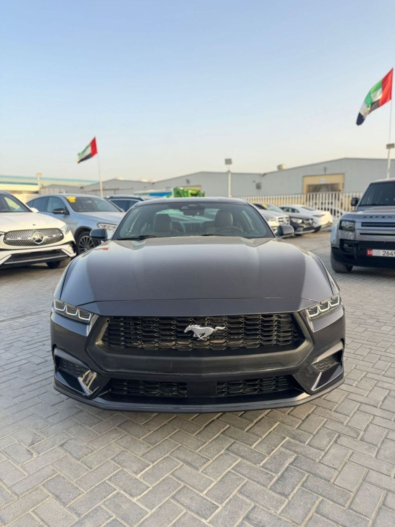 2024 Ford Mustang STANDARD thumbnail 5