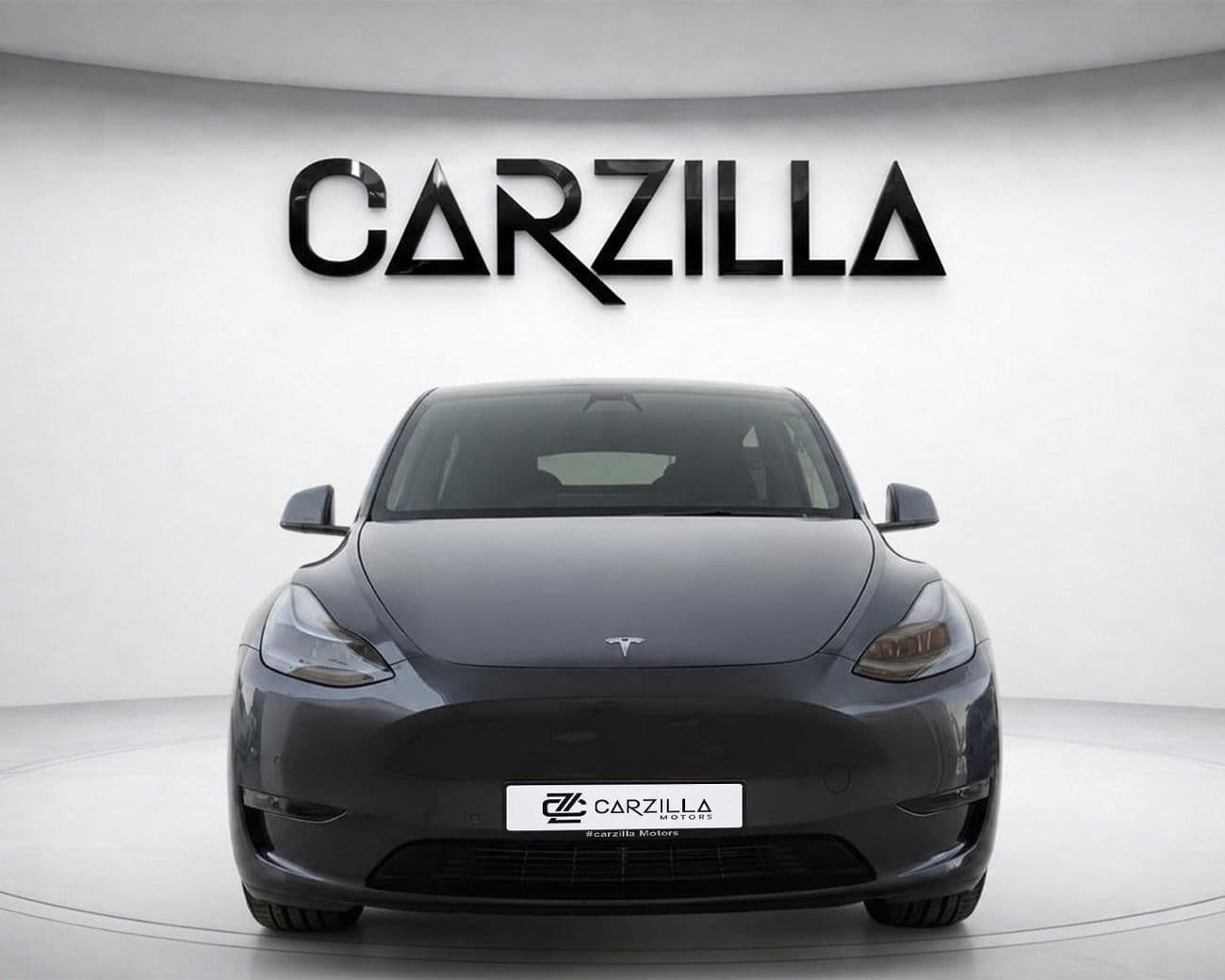2022 Tesla Model Y LONG RANGE thumbnail 2