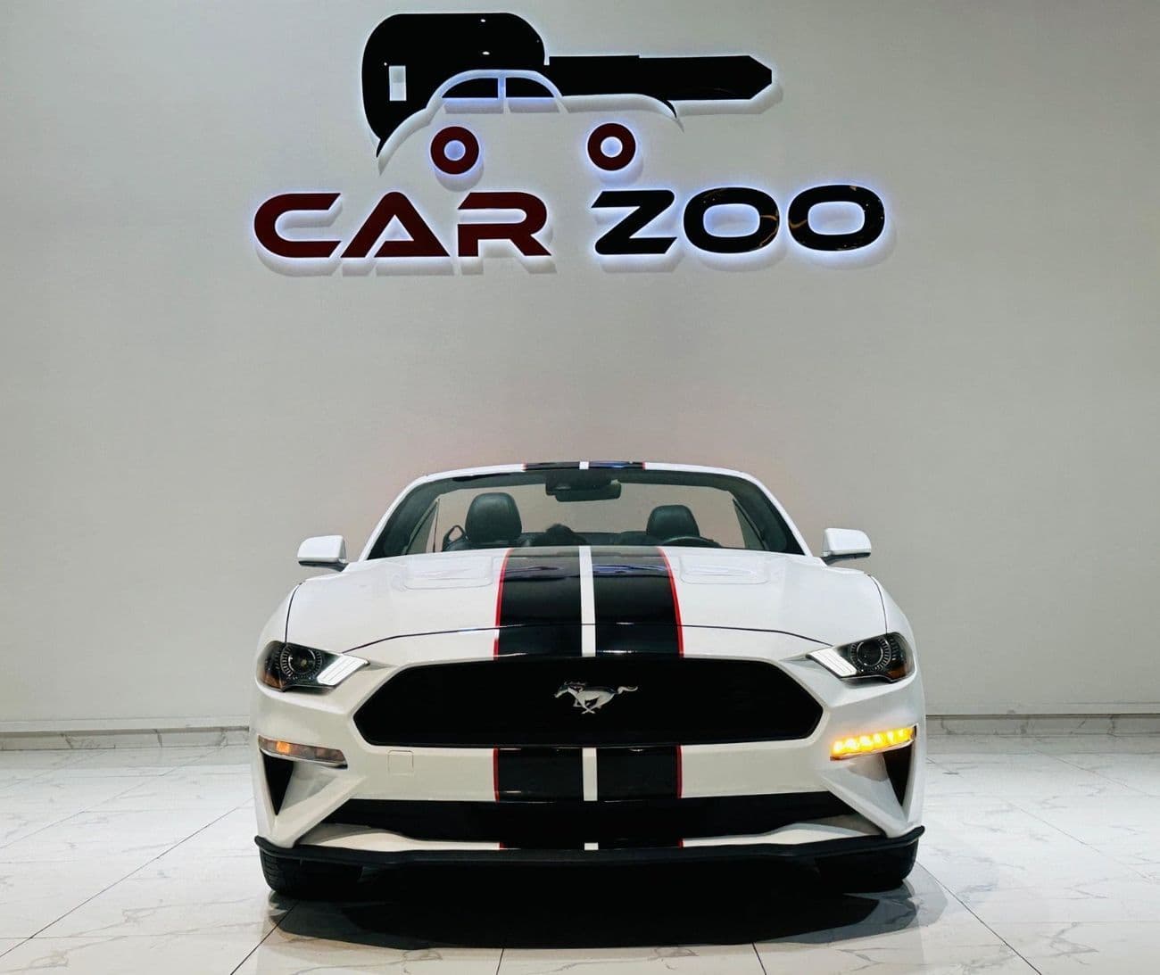 2022 Ford Mustang STANDARD thumbnail 8