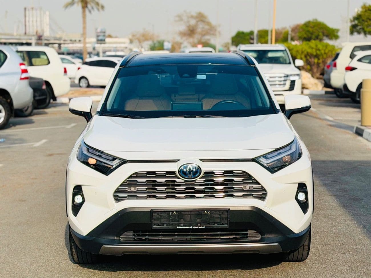 2024 Toyota RAV4 XLE HEV thumbnail 2