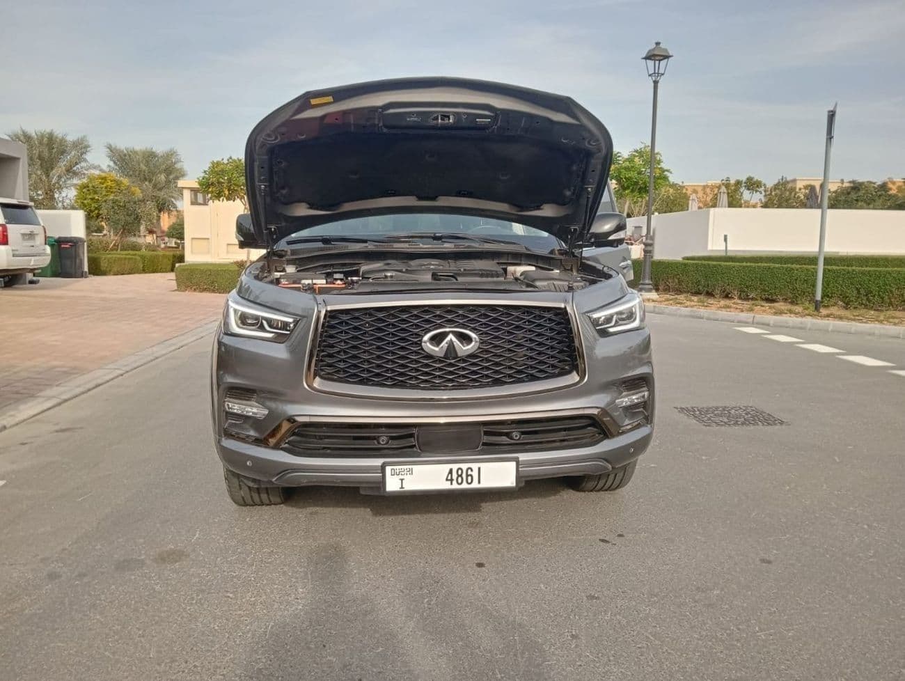 2021 Infiniti QX80 LUXE SENSORY PROACTIVE thumbnail 6