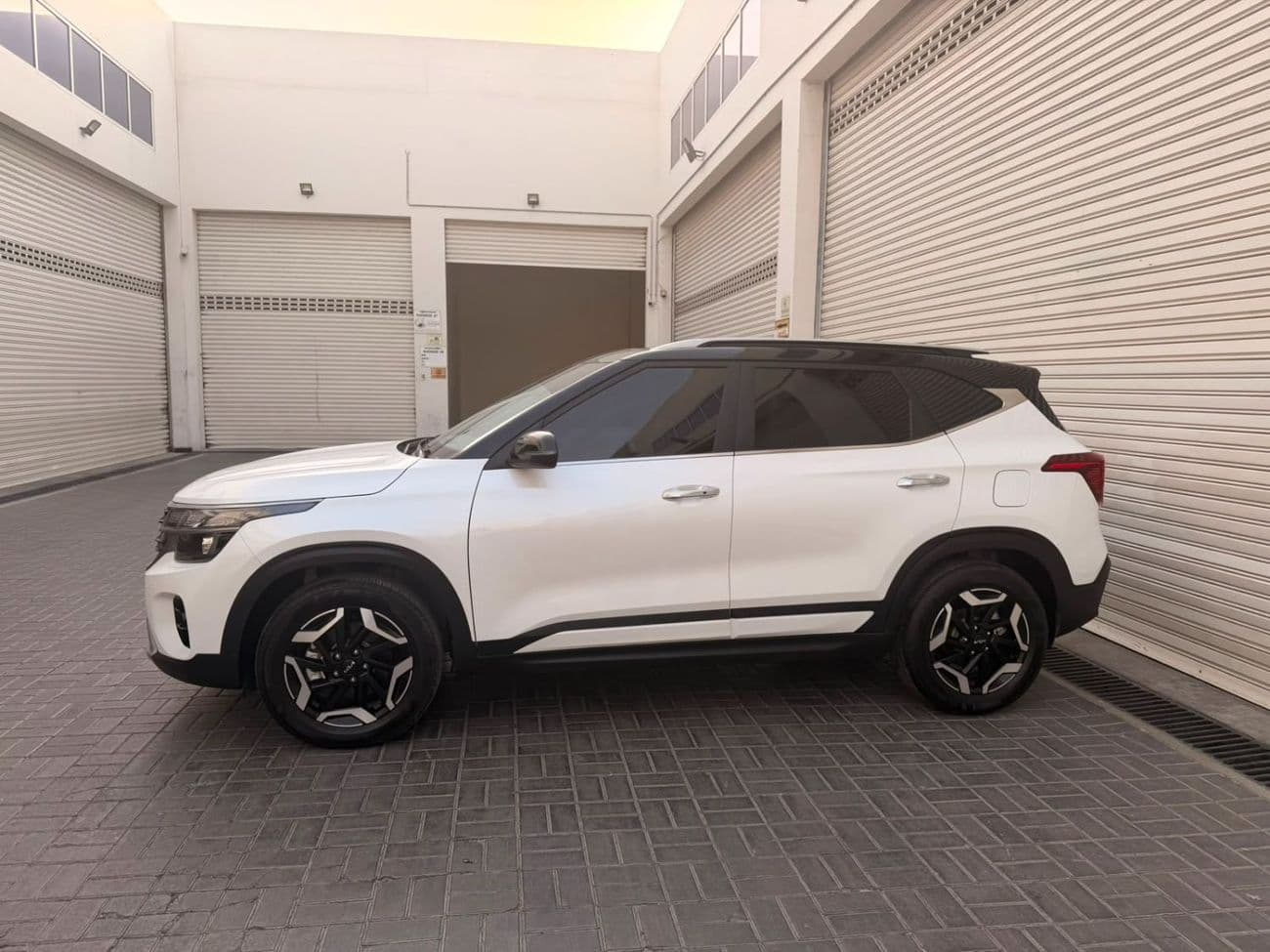 2025 Kia Seltos EX thumbnail 5