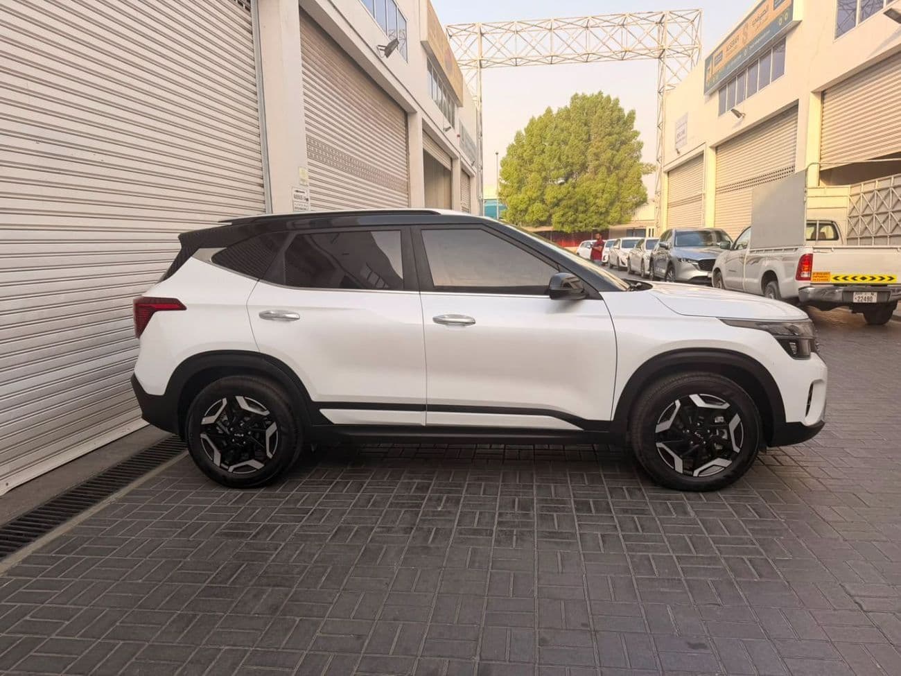 2025 Kia Seltos EX thumbnail 4