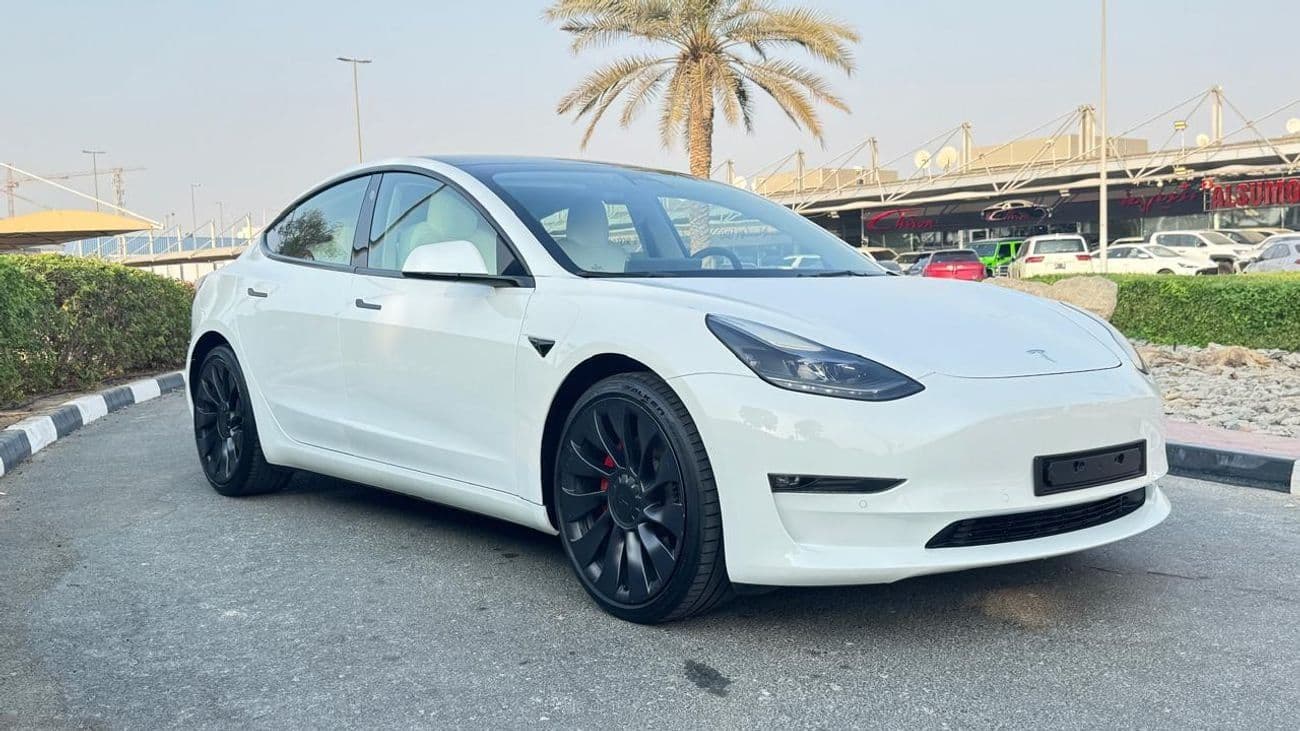 2022 Tesla Model 3 PERFORMANCE thumbnail 2
