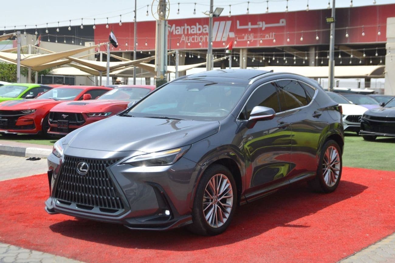 2024 Lexus NX350 PREMIER thumbnail 4