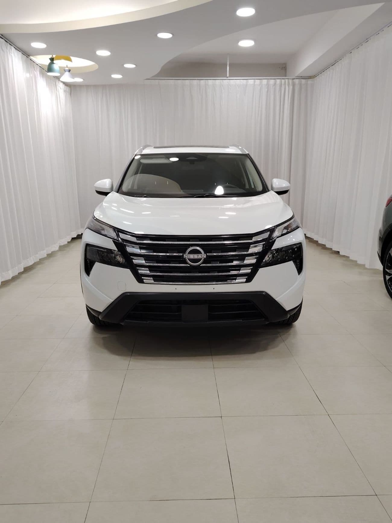 2025 Nissan Rogue PLATINUM thumbnail 2