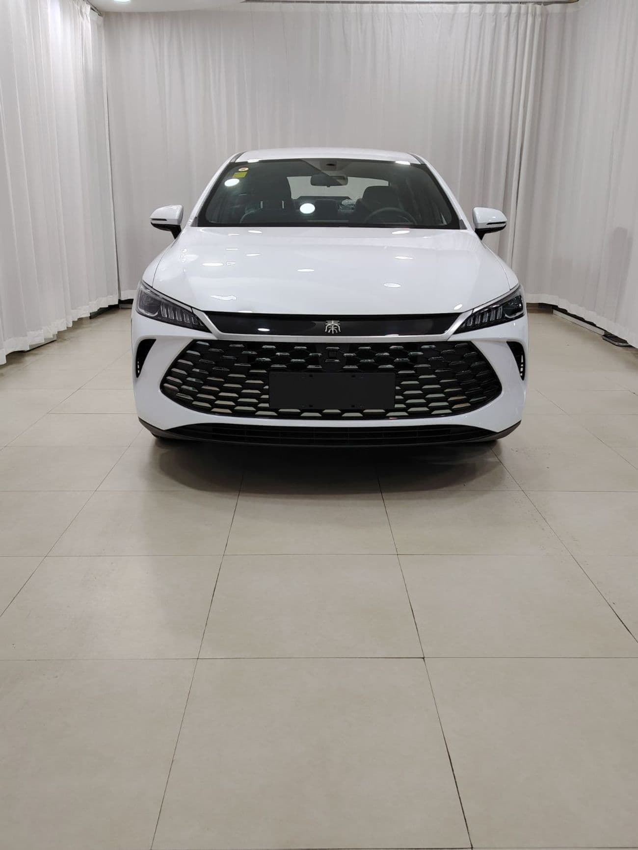 2025 BYD QIN PLUS STANDARD thumbnail 2