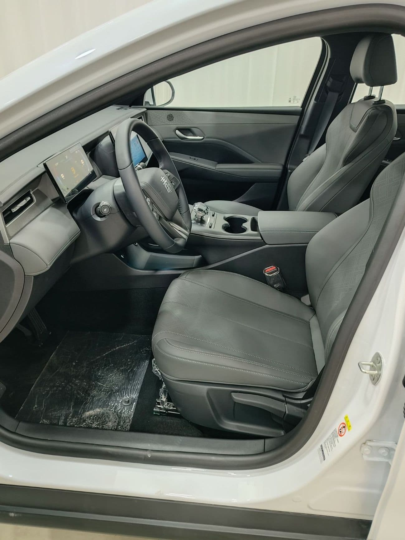 2025 BYD QIN PLUS STANDARD thumbnail 8