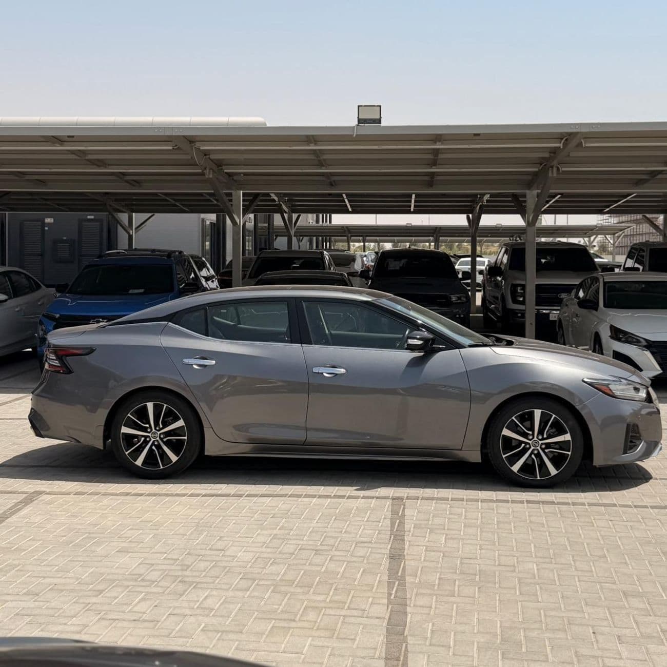 2022 Nissan Maxima SL thumbnail 4