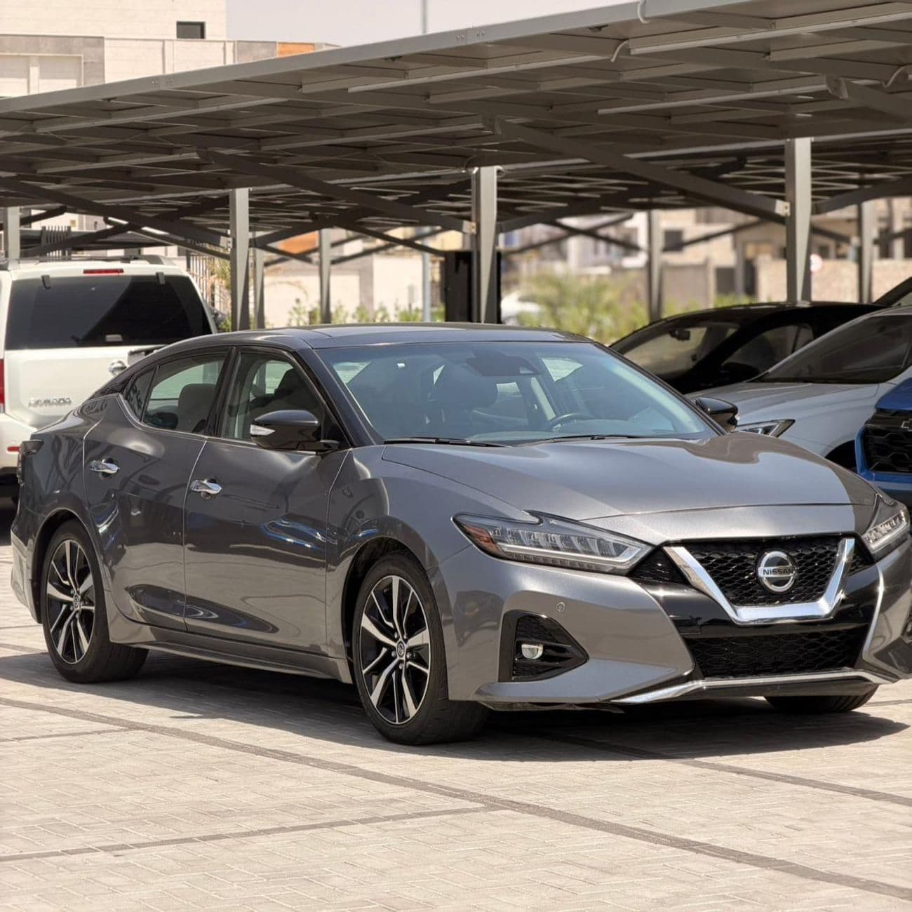 2022 Nissan Maxima SL thumbnail 3