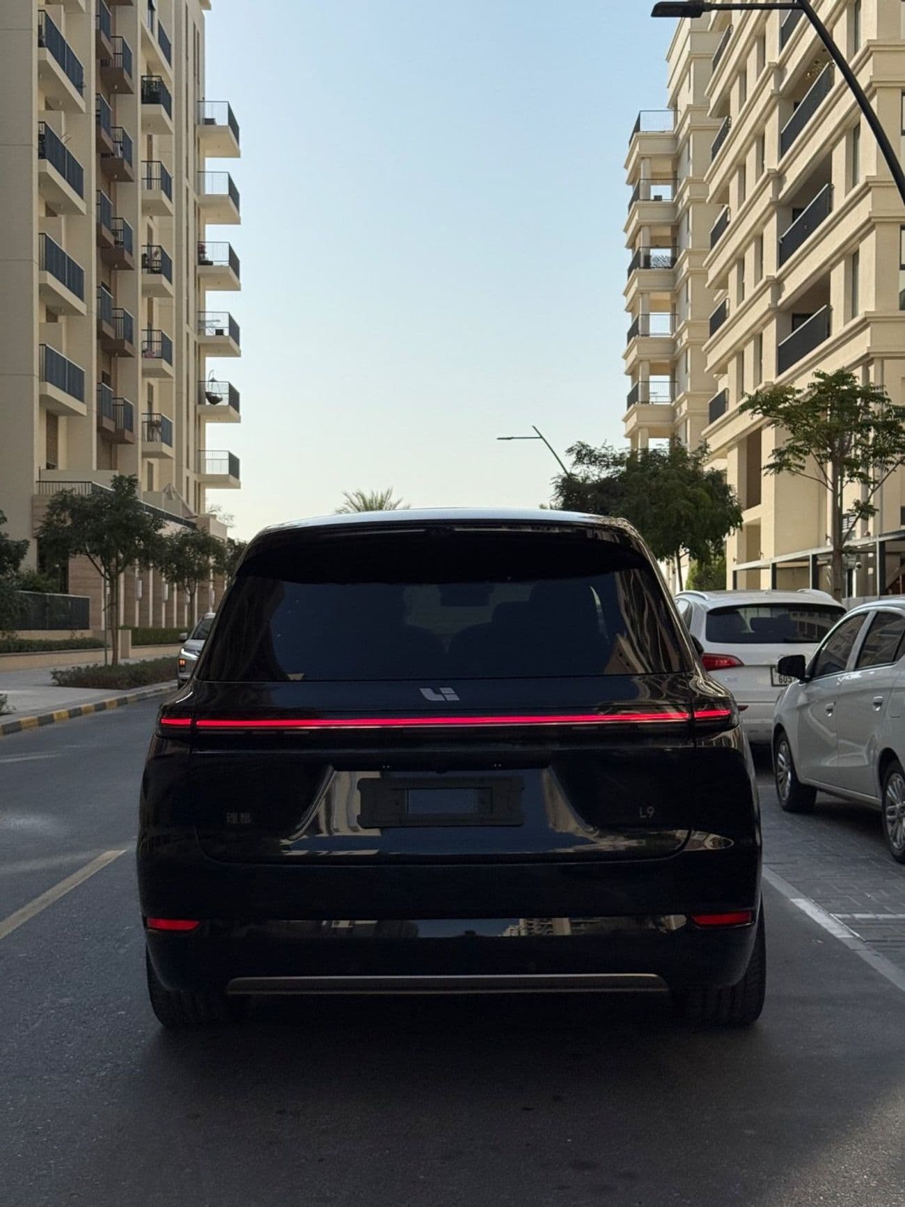 2025 Li Auto L9 ULTRA thumbnail 5