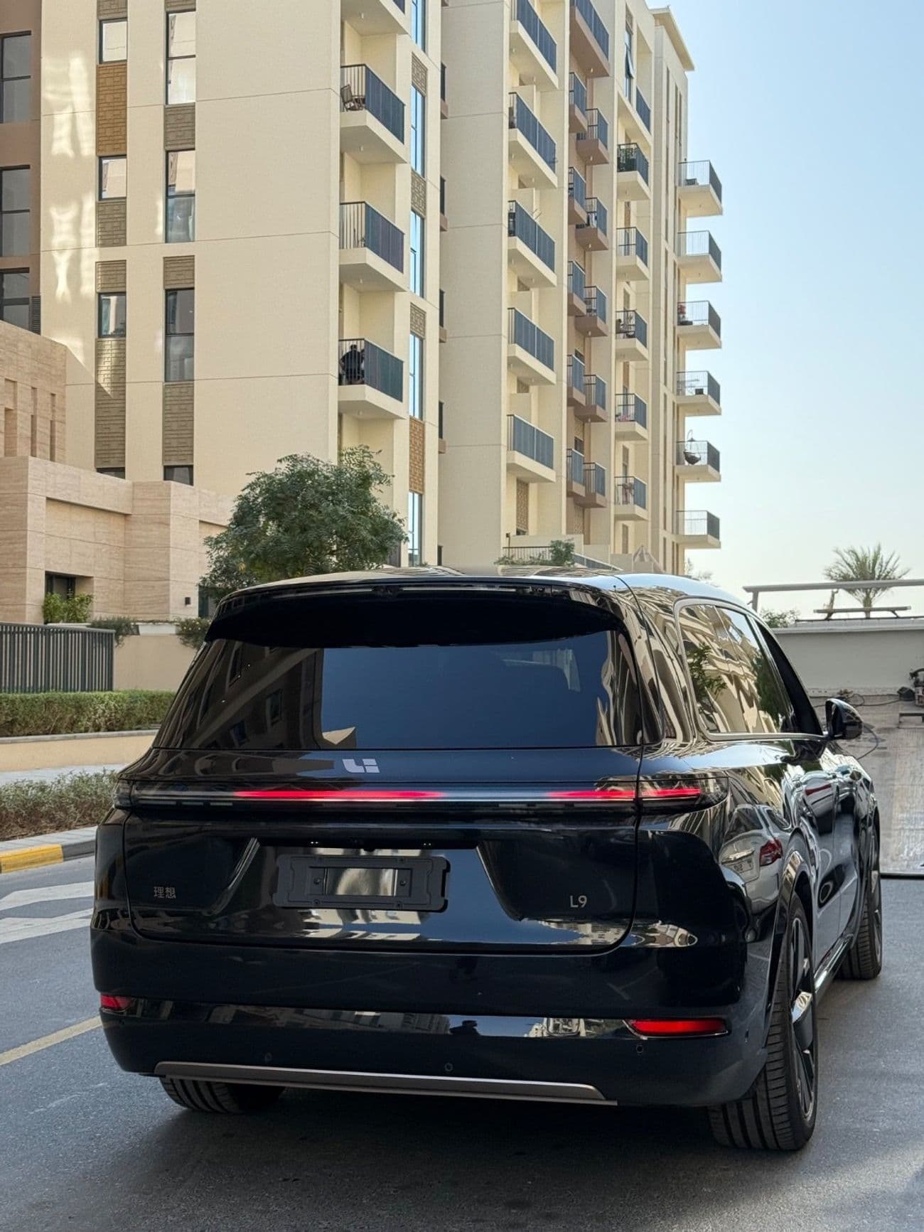 2025 Li Auto L9 ULTRA thumbnail 3