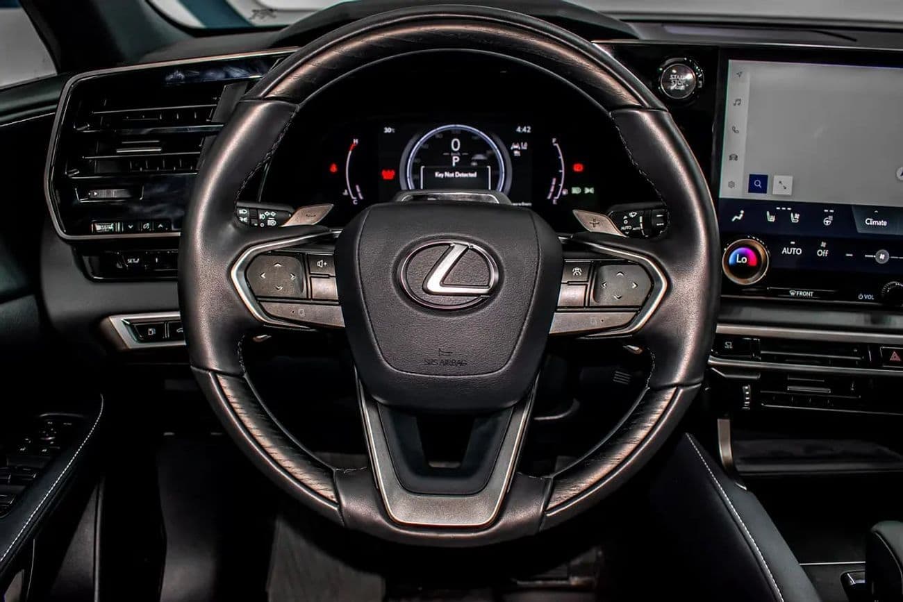 2024 Lexus RX350 Platinum thumbnail 7