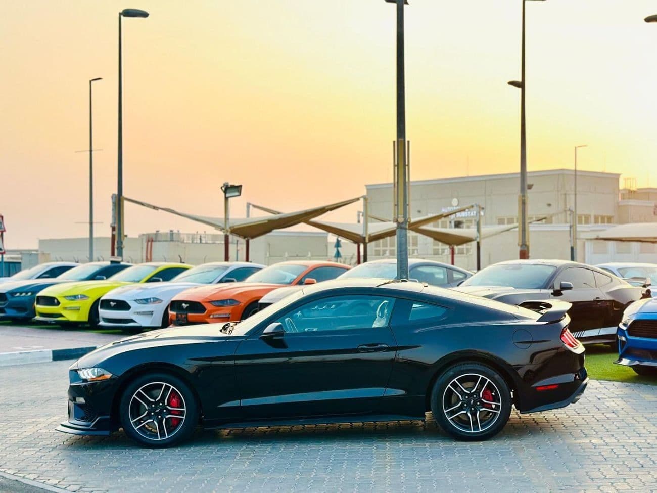 2019 Ford Mustang thumbnail 7