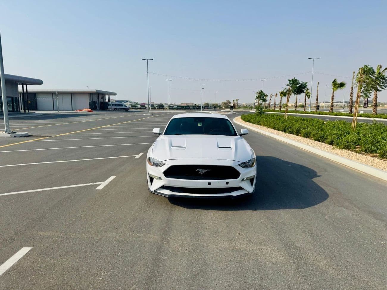 2021 Ford Mustang STANDARD thumbnail 3
